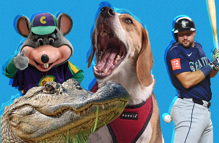 Last Month This Month